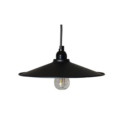 LEDペンダントライト マットブラックMサイズ(電球あり) P-300BK